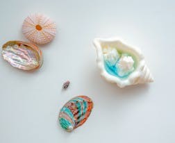 安徽水利水電職業(yè)技術(shù)學(xué)院和貴州水利水電職業(yè)技術(shù)學(xué)院對比哪個好哪個更厲害？差距巨大嗎！